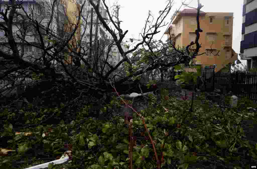 María deja daños "severos" en Puerto Rico y 9 muertes en las Antillas Menores.